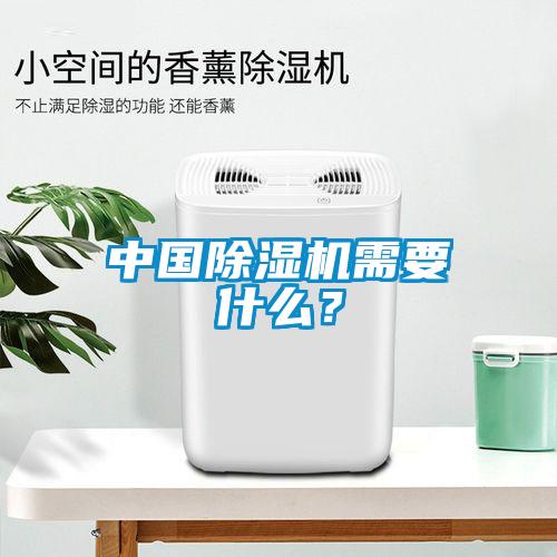 中國除濕機需要什么？