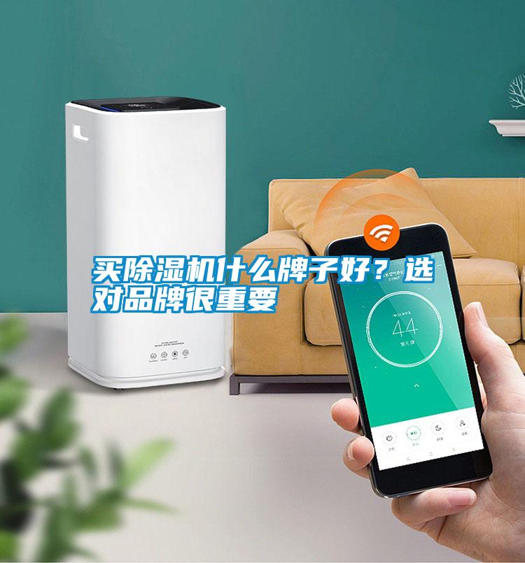 買除濕機什么牌子好？選對品牌很重要