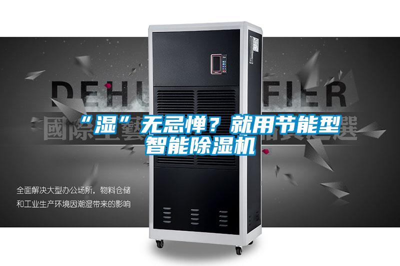 “濕”無忌憚？就用節能型智能除濕機