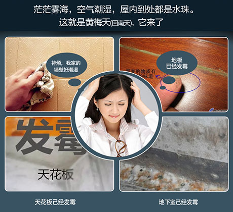 家庭別墅的地下室、衛(wèi)生間、儲物室等該如何除濕？