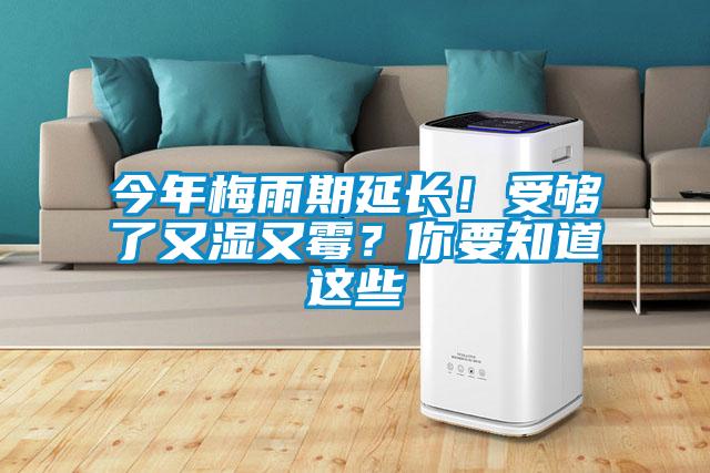 今年梅雨期延長(zhǎng)！受夠了又濕又霉？你要知道這些