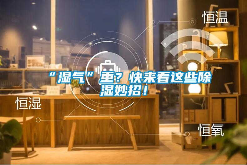 “濕氣”重？快來看這些除濕妙招！