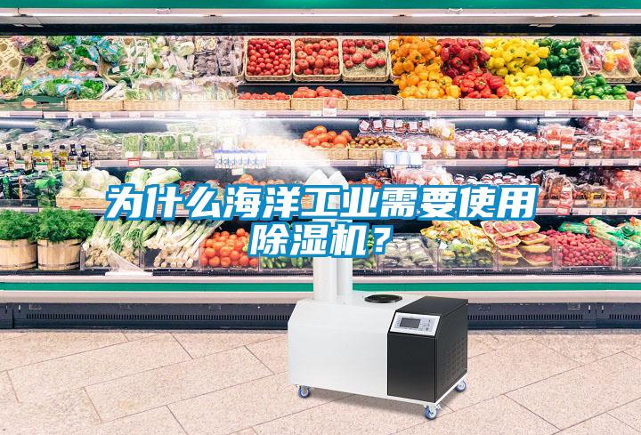為什么海洋工業(yè)需要使用除濕機？