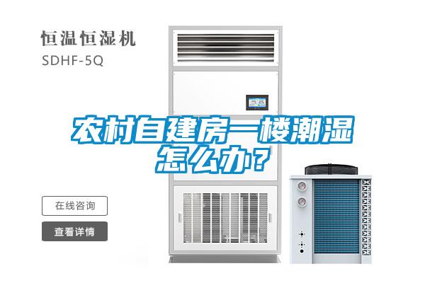 農村自建房一樓潮濕怎么辦？