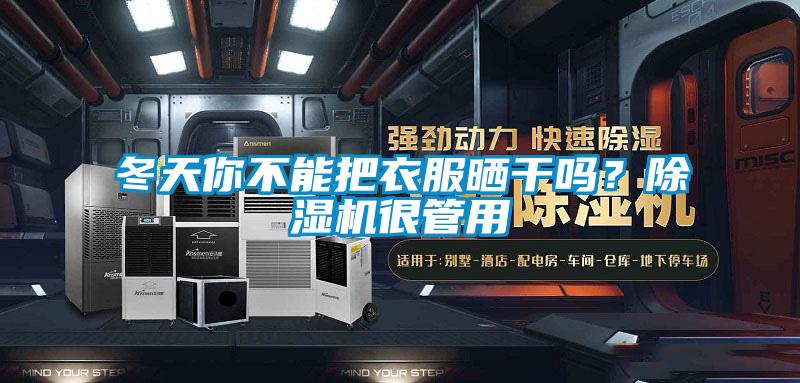 冬天你不能把衣服曬干嗎？除濕機很管用