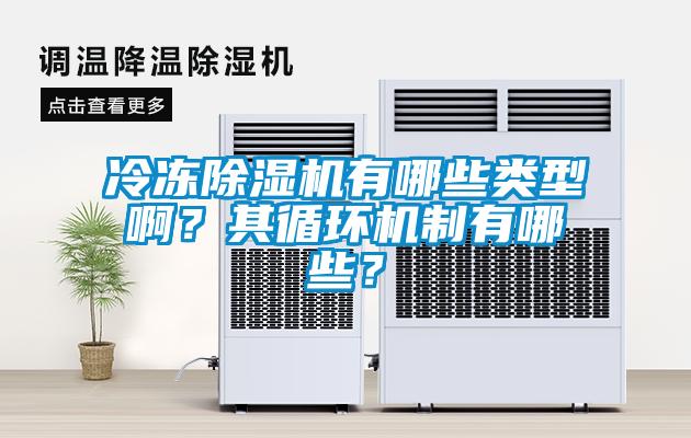 冷凍除濕機有哪些類型?。科溲h機制有哪些？
