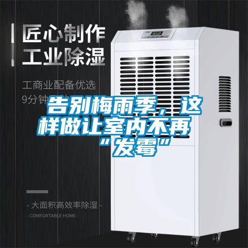 告別梅雨季，這樣做讓室內不再“發霉”