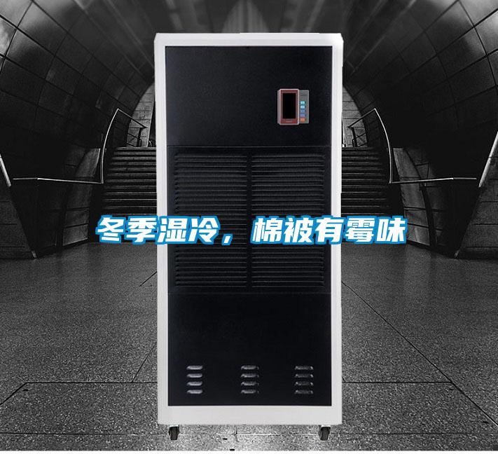 冬季濕冷,棉被有霉味