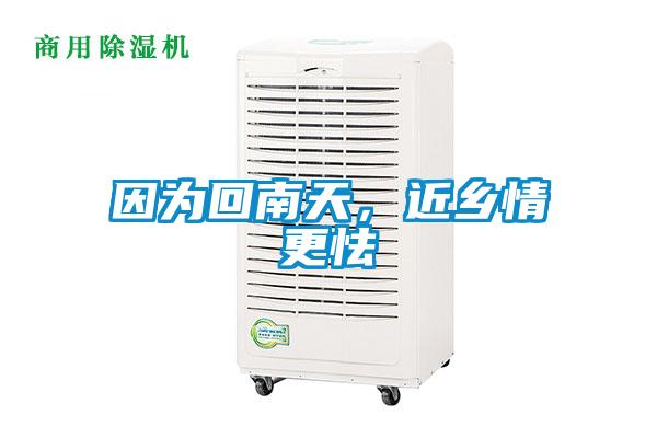因為回南天，近鄉情更怯