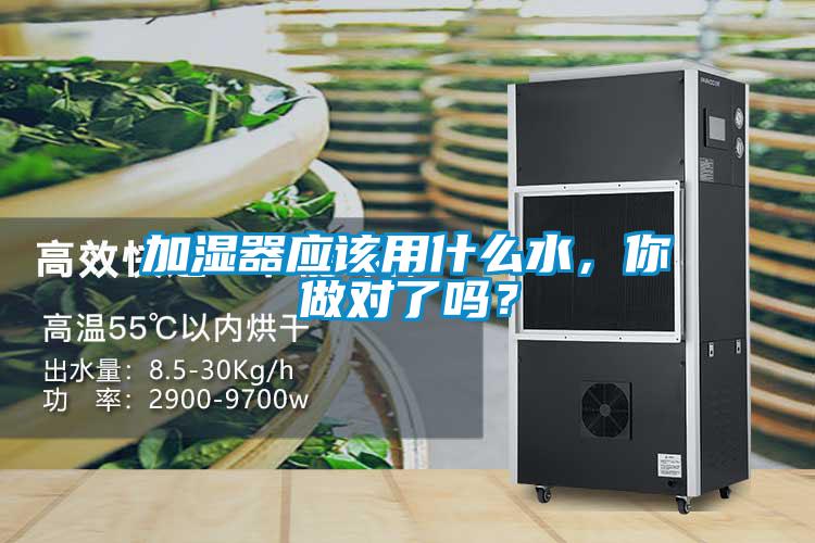 加濕器應該用什么水，你做對了嗎？