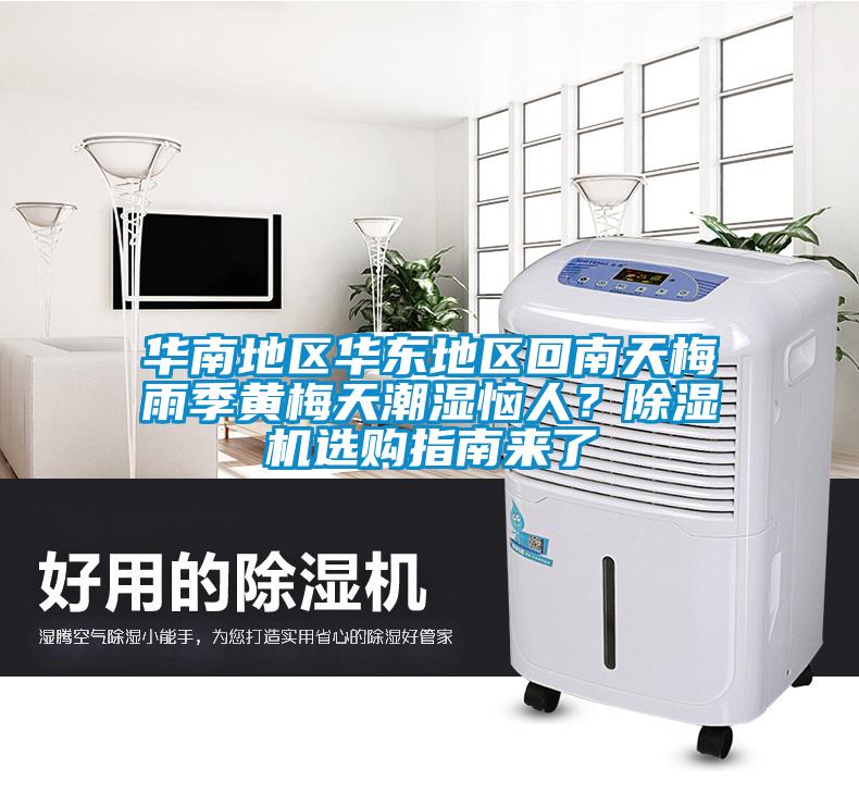 華南地區華東地區回南天梅雨季黃梅天潮濕惱人？除濕機選購指南來了