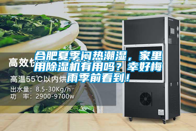 合肥夏季悶熱潮濕，家里用除濕機有用嗎？幸好梅雨季前看到！