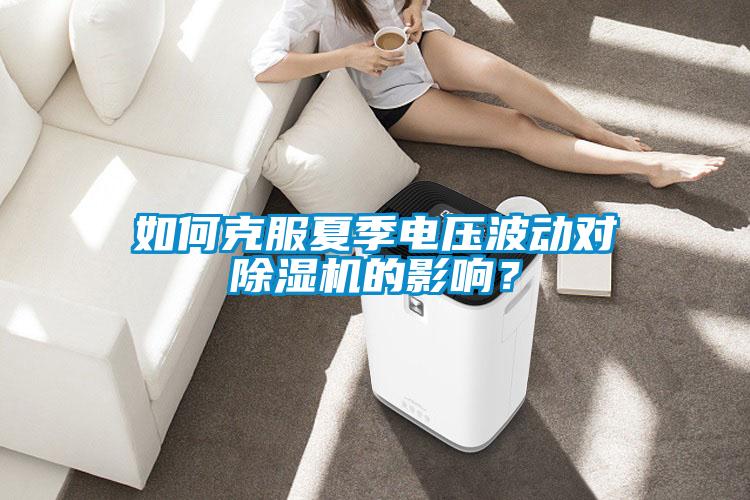 如何克服夏季電壓波動對除濕機的影響？
