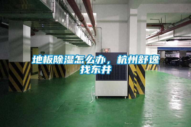 地板除濕怎么辦，杭州舒逸找東井