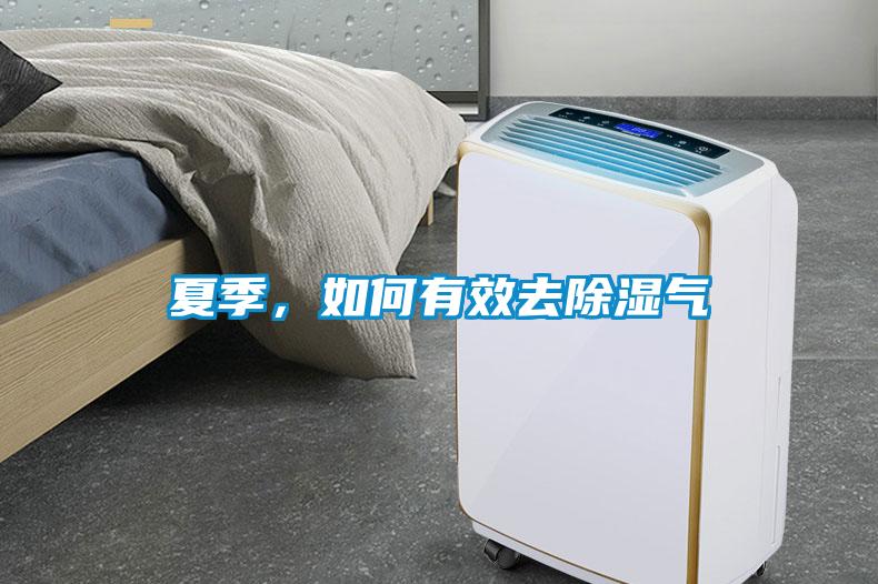 夏季，如何有效去除濕氣