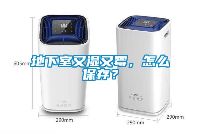 地下室又濕又霉，怎么保存？