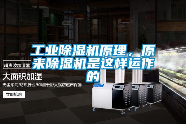 工業除濕機原理，原來除濕機是這樣運作的