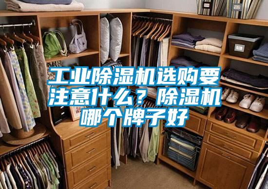 工業除濕機選購要注意什么？除濕機哪個牌子好