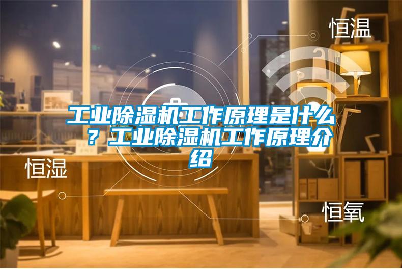 工業除濕機工作原理是什么 ？工業除濕機工作原理介紹
