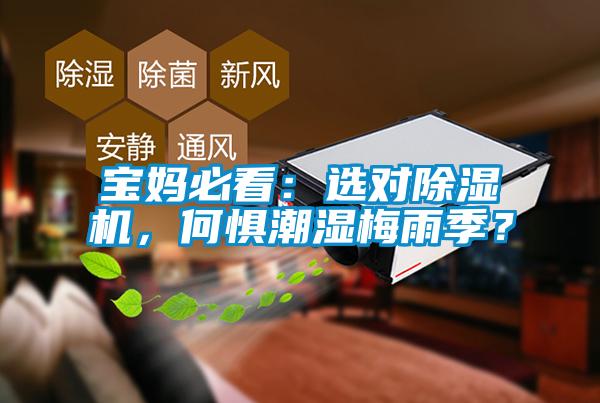 寶媽必看：選對除濕機，何懼潮濕梅雨季？