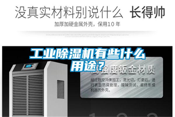 工業除濕機有些什么用途？