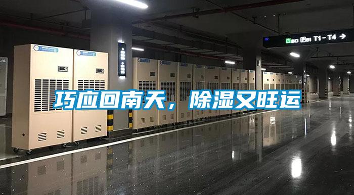 巧應回南天，除濕又旺運