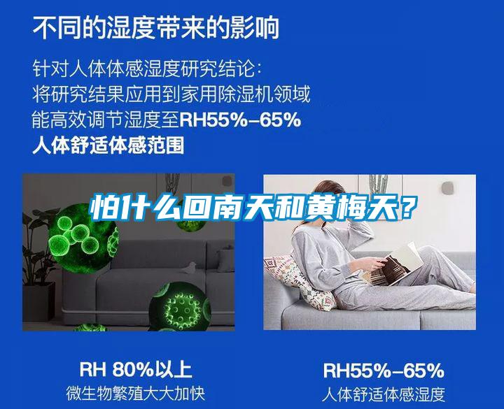 怕什么回南天和黃梅天？
