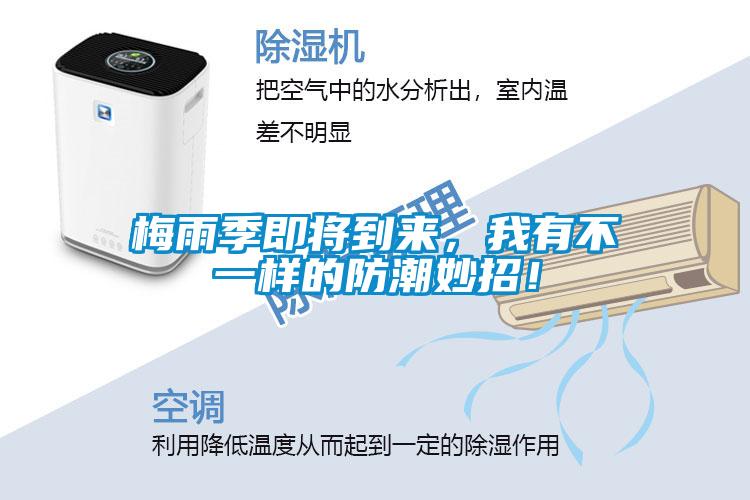 梅雨季即將到來，我有不一樣的防潮妙招！