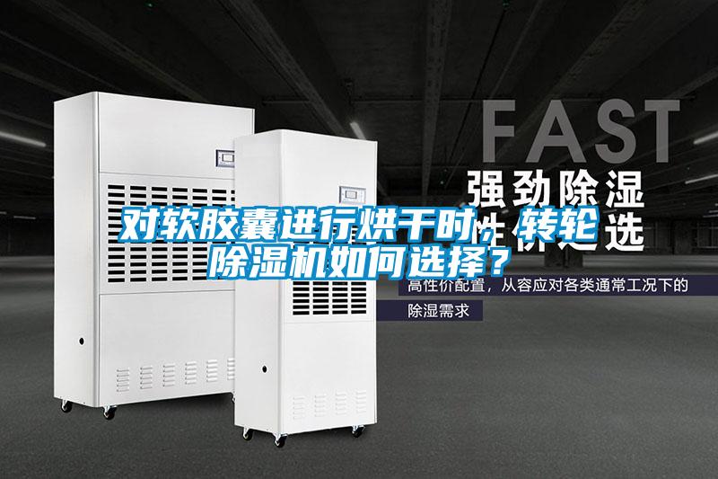 對軟膠囊進行烘干時，轉輪除濕機如何選擇？