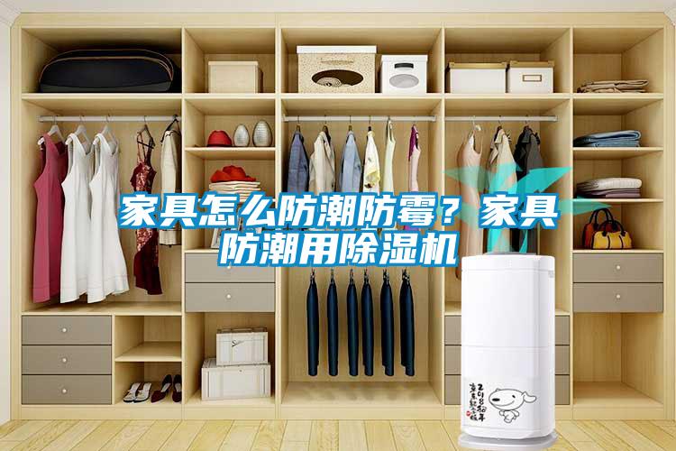 家具怎么防潮防霉？家具防潮用除濕機