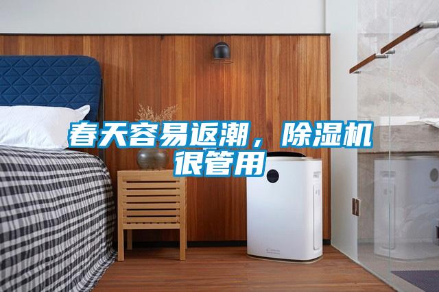 春天容易返潮,除濕機很管用
