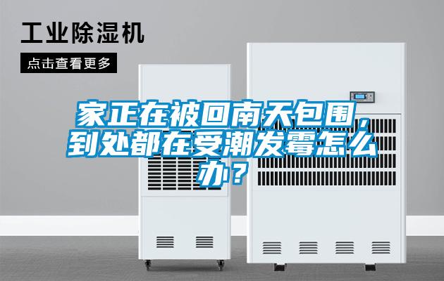 家正在被回南天包圍，到處都在受潮發(fā)霉怎么辦？