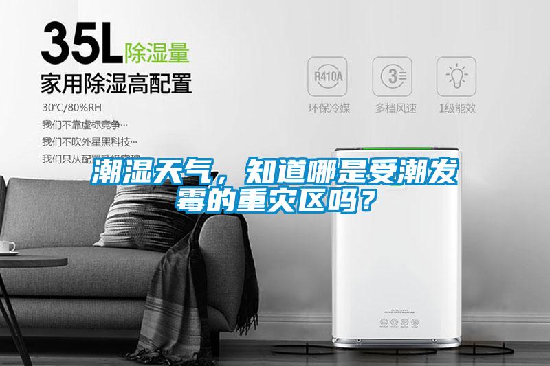 潮濕天氣,知道哪是受潮發霉的重災區嗎?