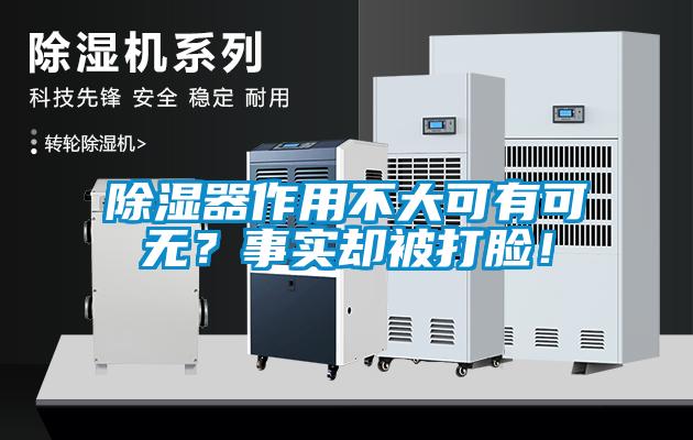 除濕器作用不大可有可無？事實卻被打臉！