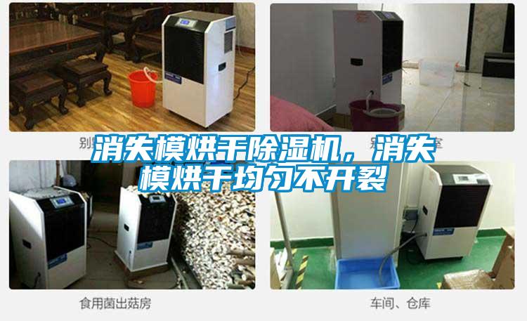 消失模烘干除濕機，消失模烘干均勻不開裂