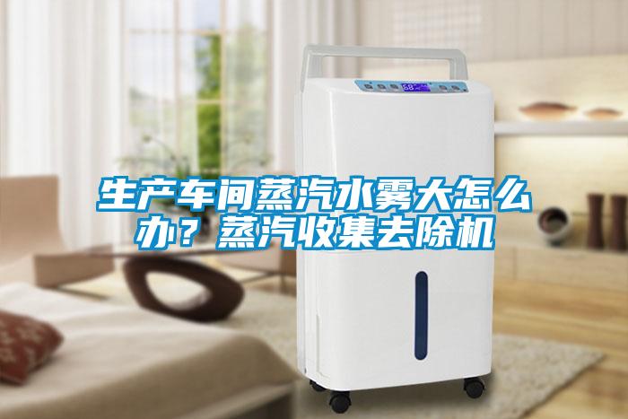 生產(chǎn)車間蒸汽水霧大怎么辦？蒸汽收集去除機