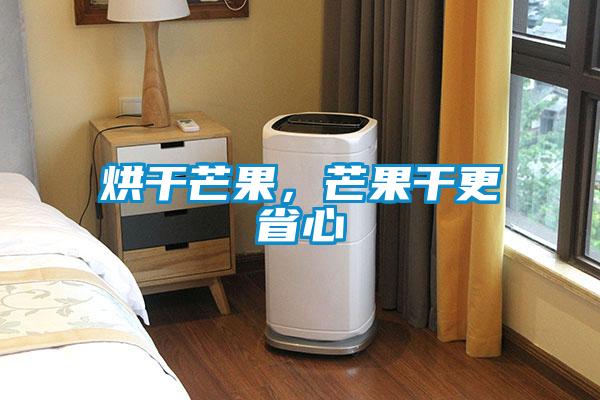 烘干芒果，芒果干更省心
