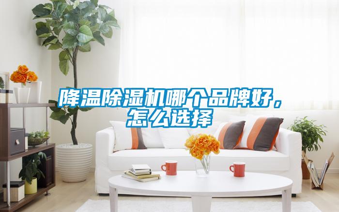 降溫除濕機哪個品牌好，怎么選擇