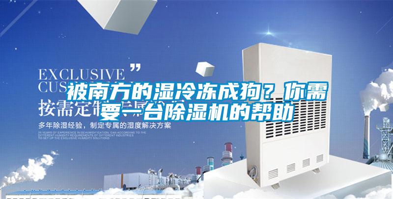 被南方的濕冷凍成狗？你需要一臺除濕機(jī)的幫助