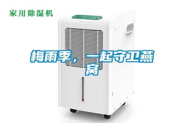 梅雨季，一起守衛(wèi)燕窩