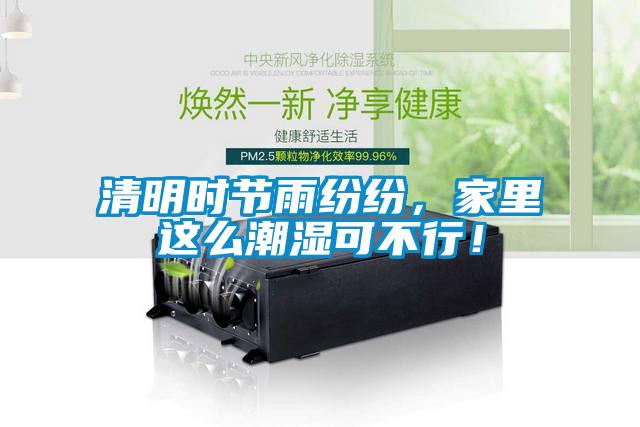 清明時節(jié)雨紛紛，家里這么潮濕可不行！