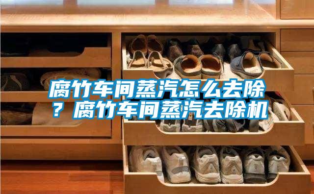 腐竹車間蒸汽怎么去除？腐竹車間蒸汽去除機