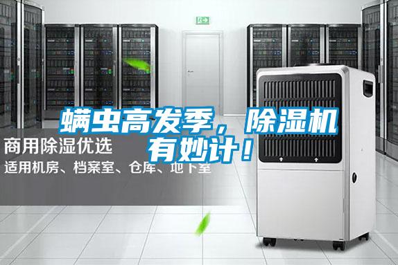 螨蟲高發季，除濕機有妙計！