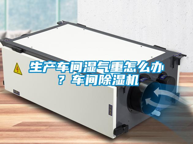 生產車間濕氣重怎么辦？車間除濕機