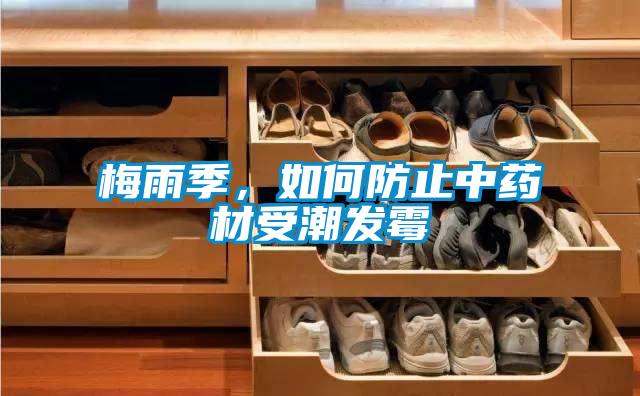 梅雨季，如何防止中藥材受潮發霉