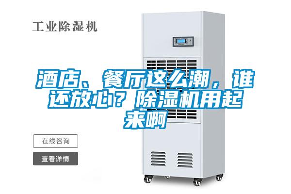 酒店、餐廳這么潮，誰(shuí)還放心？除濕機(jī)用起來(lái)啊