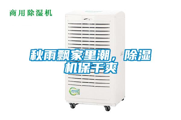 秋雨飄家里潮，除濕機保干爽