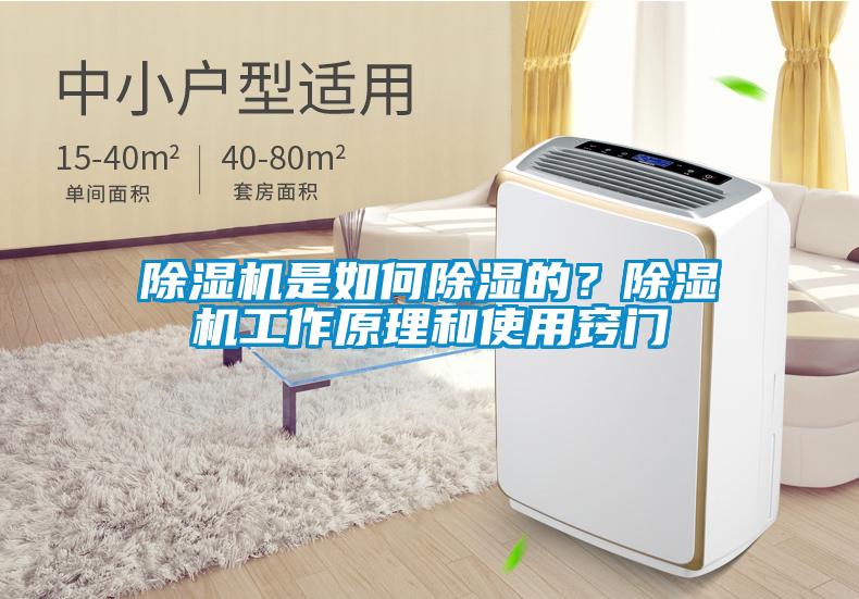 除濕機是如何除濕的？除濕機工作原理和使用竅門