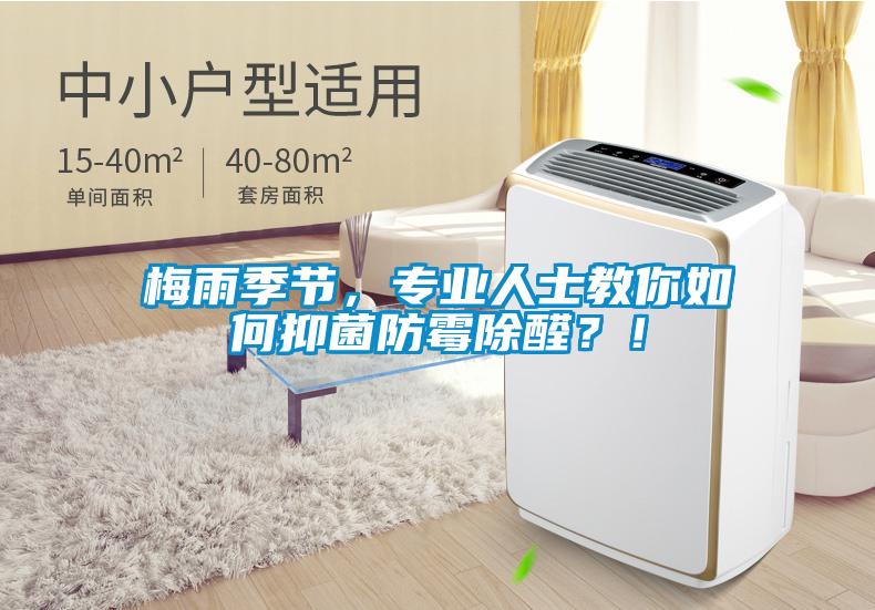 梅雨季節，專業人士教你如何抑菌防霉除醛？！