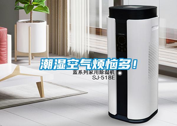 潮濕空氣煩惱多！